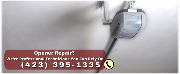 Garage Door Opener Repair And Installation Red Bank TN